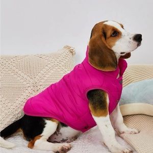Dog Jacket 🐾